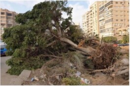 Entangle! 9.– 23. June 2023