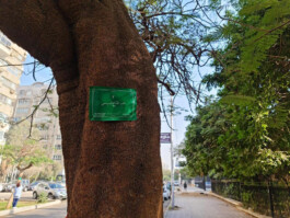 Entangle! 9.– 23. June 2023