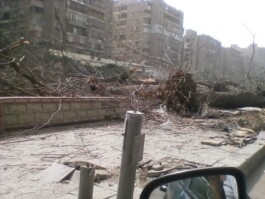 Entangle! 9.– 23. June 2023