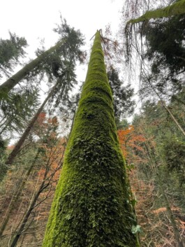 Entangle! 9.– 23. June 2023