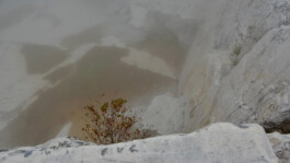 Entangle! 9.– 23. June 2023