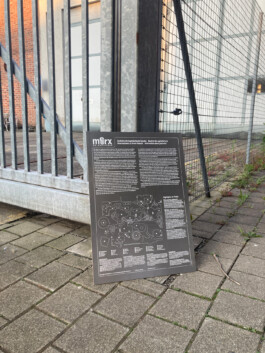 Entangle! 9.– 23. June 2023