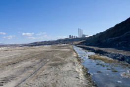 Entangle! 9.– 23. June 2023