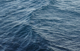 Entangle! 9.– 23. June 2023