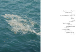 Entangle! 9.– 23. June 2023