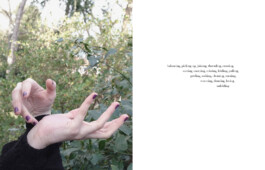 Entangle! 9.– 23. June 2023