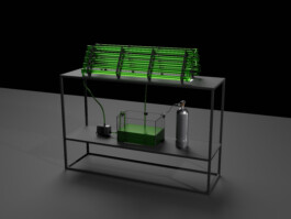 Entangle! 9.– 23. June 2023