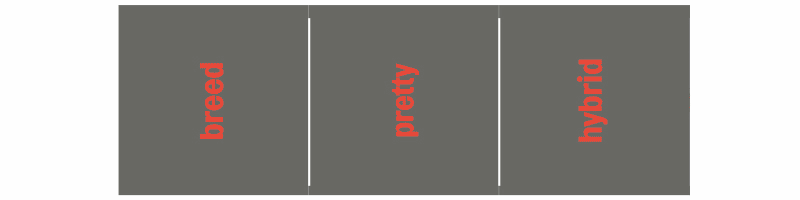 Entangle! 9.– 23. June 2023